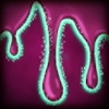light_in_the_deep_abilities_icon_the_waylanders_wiki_guide_100px