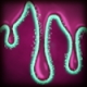 light_in_the_deep_abilities_icon_the_waylanders_wiki_guide_80px